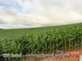 FAZENDA NA REGIÃO DE CAPÃO BONITO - SP