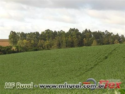 FAZENDA NA REGIÃO DE CAPÃO BONITO - SP