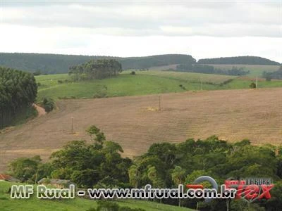 FAZENDA NA REGIÃO DE CAPÃO BONITO - SP