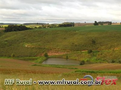 FAZENDA NA REGIÃO DE CAPÃO BONITO - SP