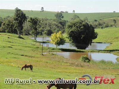 FAZENDA NA REGIÃO DE CAPÃO BONITO - SP