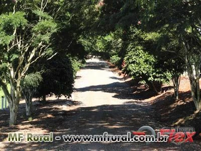 FAZENDA NA REGIÃO DE CAPÃO BONITO - SP