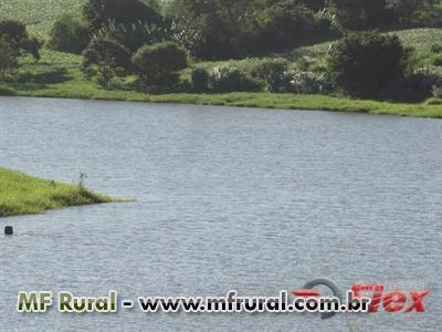 FAZENDA NA REGIÃO DE CAPÃO BONITO - SP