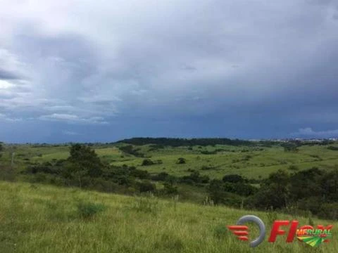 FAZENDA PRÓPRIA PARA PECUÁRIA EM MARÍLIA-SP