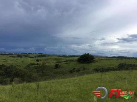 FAZENDA PRÓPRIA PARA PECUÁRIA EM MARÍLIA-SP