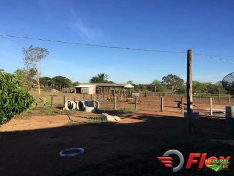 FAZENDA PARA PECUÁRIA NO TOCANTINS CIDADE DE PIUM