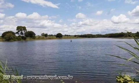 Fazenda 906 alqueires Araguaçu to