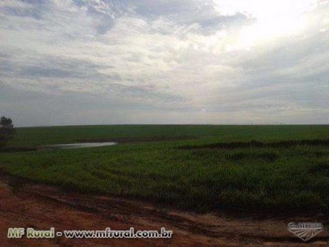Fazenda de 238 alqueires na região de Itaberá sp
