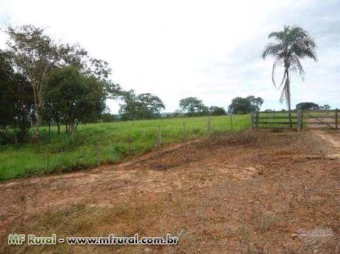 Fazenda Dupla Aptidão 5.850 Hec. Rondonópolis - MT