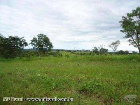 Fazenda Dupla Aptidão 5.850 Hec. Rondonópolis - MT