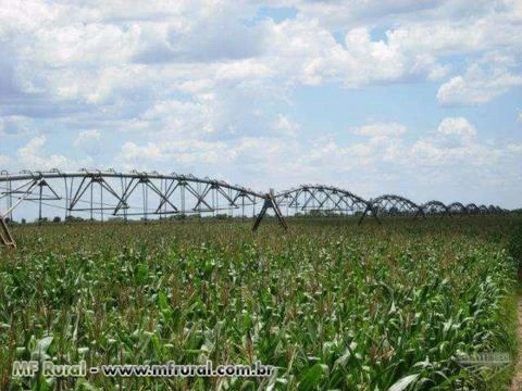 Fazenda 1.830 Há. 3 Pivôs|Sequeiro; Pires do Rio-GO