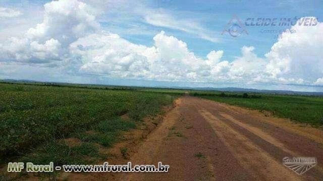 Fazenda rural à venda, Zona Rural, Nova Brasilândia.