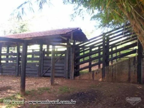 Linda Fazenda em Abadiânia/Goiás com 63 alqueires