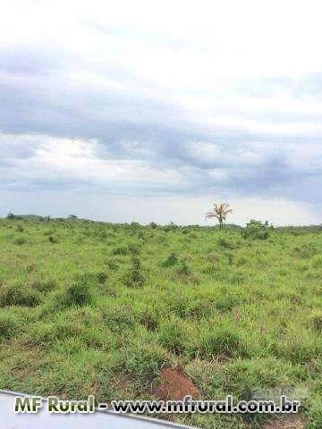 Fazenda de 19 mil hectares pecuaria no mato grosso