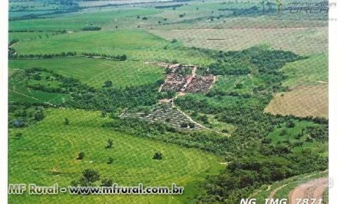 Linda Fazenda Araçatuba sp