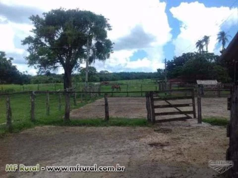 Linda Fazenda Uberaba MG 484 hectares