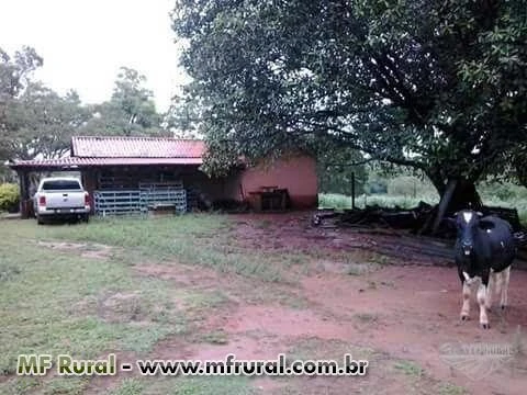 Linda Fazenda Uberaba MG 96,8 hectares