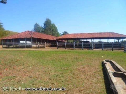 Linda fazenda Alexânia goias