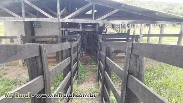 Linda Fazenda Corumbaíba