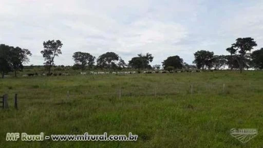 Linda Fazenda Corumbaíba