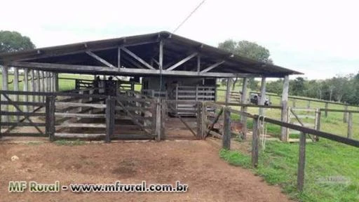 Linda Fazenda Corumbaíba