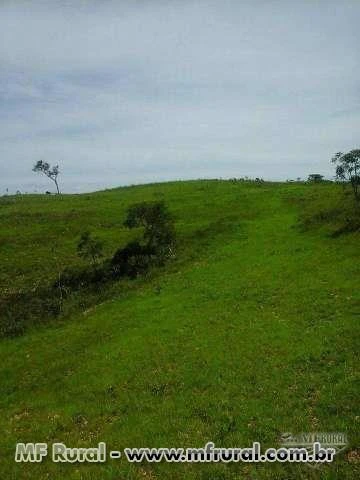 Linda Fazenda Corumbaíba