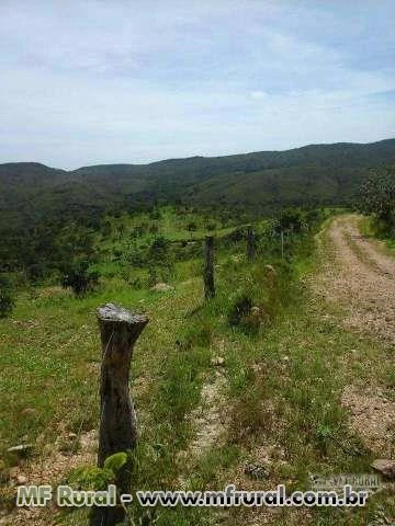 Linda Fazenda Corumbaíba