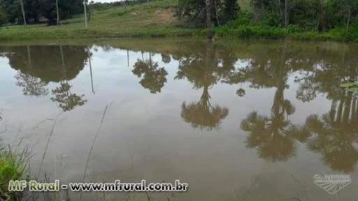 Linda Fazenda Corumbaíba