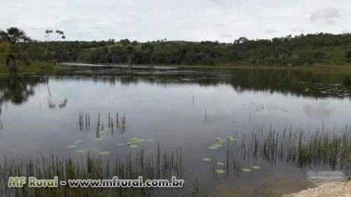 Linda Fazenda Corumbaíba