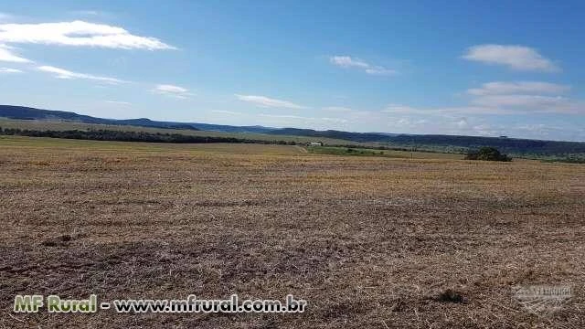 Linda Fazenda Caiapônia Goiás