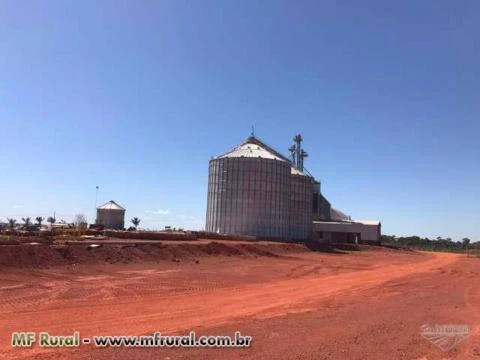 Linda Fazenda Brasnorte mt