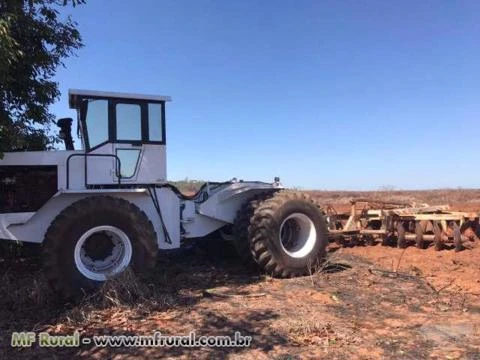 Linda Fazenda Brasnorte mt