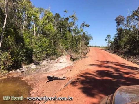 Linda Fazenda Brasnorte mt