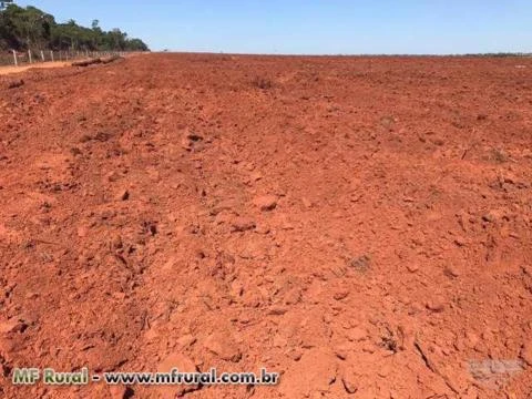 Linda Fazenda Brasnorte mt