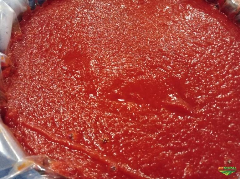 Pimenta Habanero Imagem Pimenta Habanero