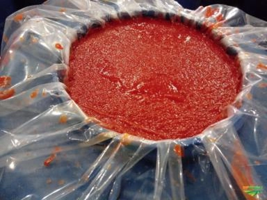 Imagem Pimenta Habanero Imagem Pimenta Habanero