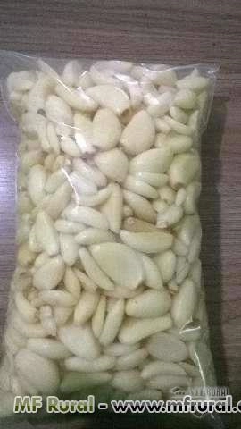 Imagem Alhos Descascados Selecionados Imagem Alhos Descascados Selecionados