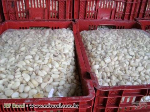 Imagem Alhos Descascados Selecionados Imagem Alhos Descascados Selecionados