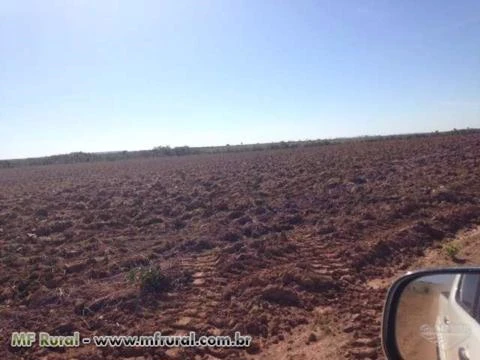 Fazenda Roreal - Nova Brasilandia/MT