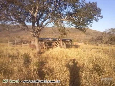 Fazenda Otima para lazer