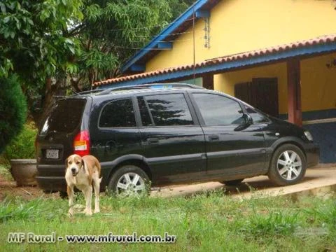 Sitio em Cardeal - Elias Fausto - SP