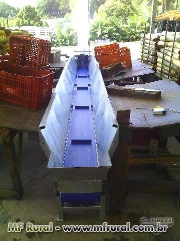 Imagem Esteira Transportadora Imagem Esteira Transportadora