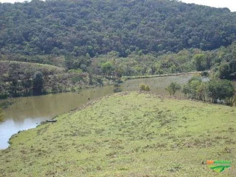 Fazenda 255 hectares  Bacia do Paranapanema
