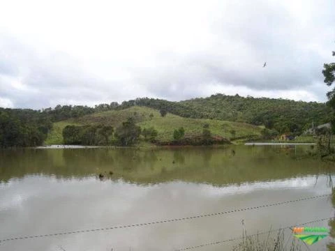 Fazenda 255 hectares  Bacia do Paranapanema