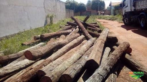 Imagem Aroeira Imagem Aroeira