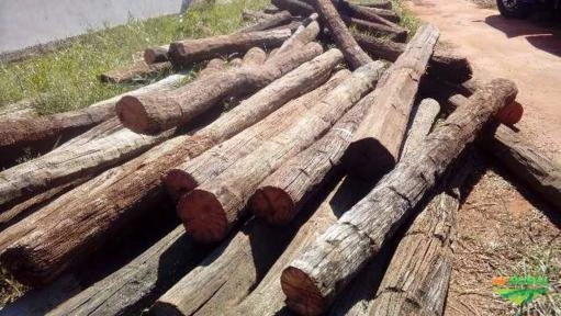 Imagem Aroeira Imagem Aroeira