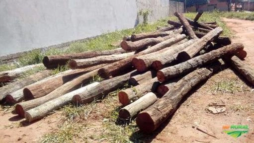 Imagem Aroeira Imagem Aroeira