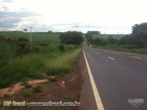 SITIO 18,5 ALQUEIRES BEIRADA DA RODOVIA ASSIS CHATEUBRIAND EM OLIMPIA-SP