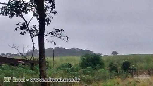 Fazenda ótima localização