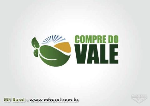 Água de coco 100% natural envasada em copos Imagem Água de coco 100% natural envasada em copos